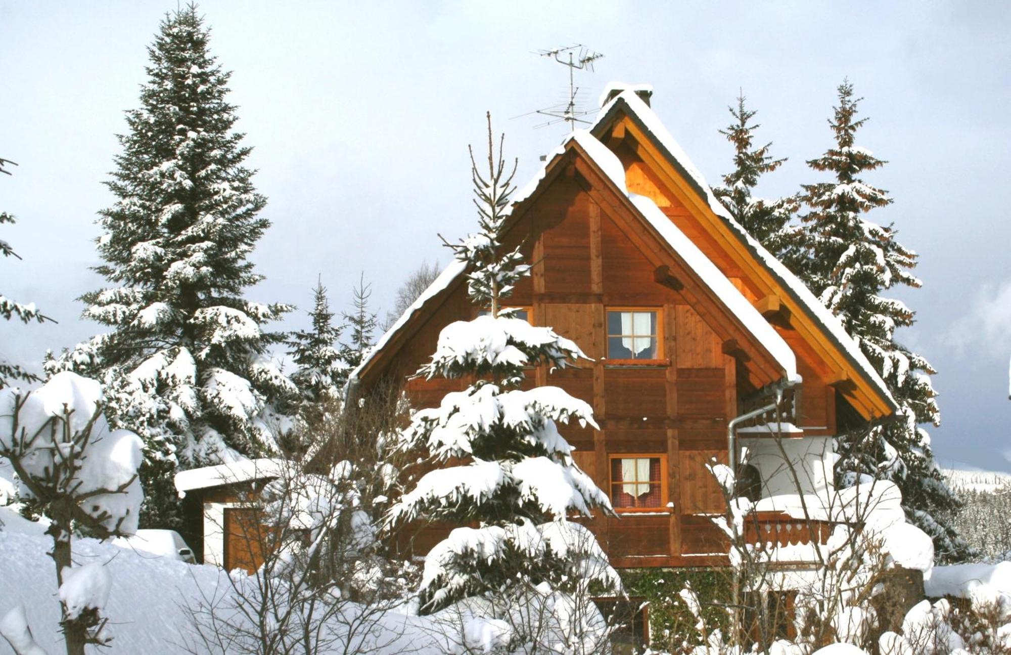 Ferienwohnung Seeblick Nr 5, 2 Zi-Baerental, Feldberg Rotwasser Экстерьер фото