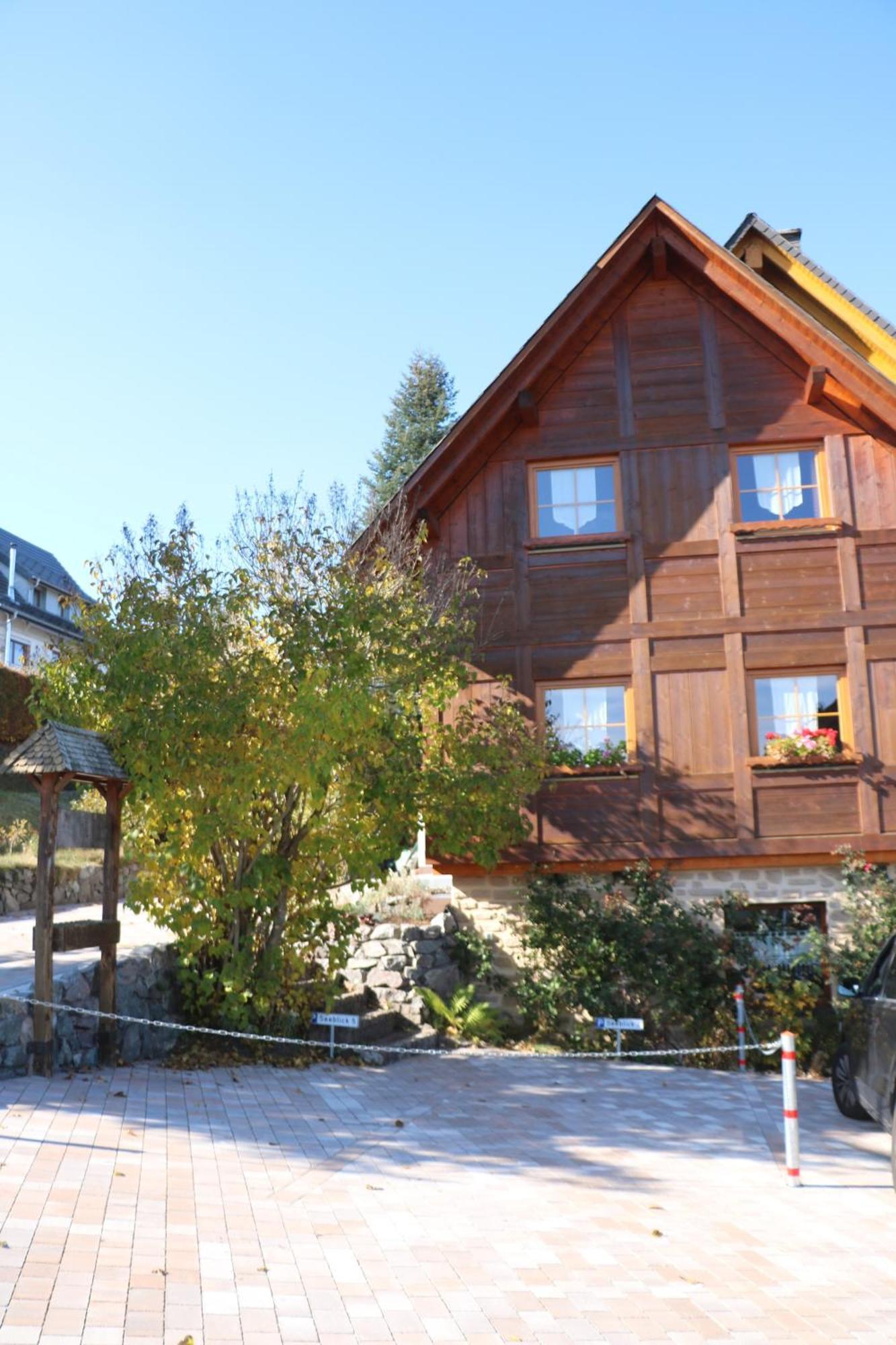 Ferienwohnung Seeblick Nr 5, 2 Zi-Baerental, Feldberg Rotwasser Экстерьер фото