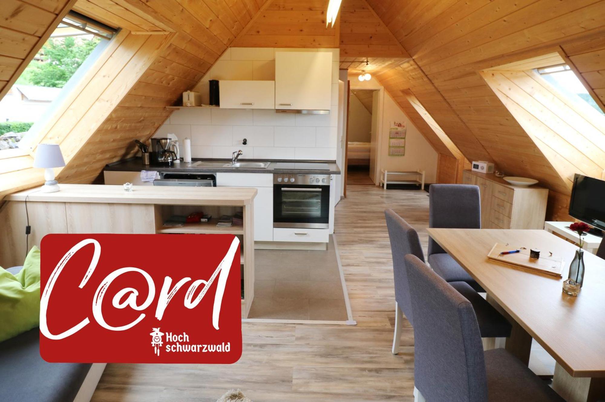Ferienwohnung Seeblick Nr 5, 2 Zi-Baerental, Feldberg Rotwasser Экстерьер фото